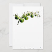 グリーンさくらんぼトマトフォトガーデンパーティの招待状 招待状 (裏面)