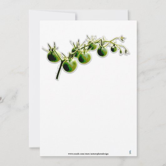 グリーンさくらんぼトマトフォトガーデンパーティの招待状 招待状 (裏面)