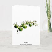 グリーンさくらんぼトマトフォト誕生日カード カード (裏面)