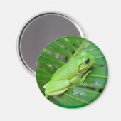 グリーンだ マグネット (正面/裏面)