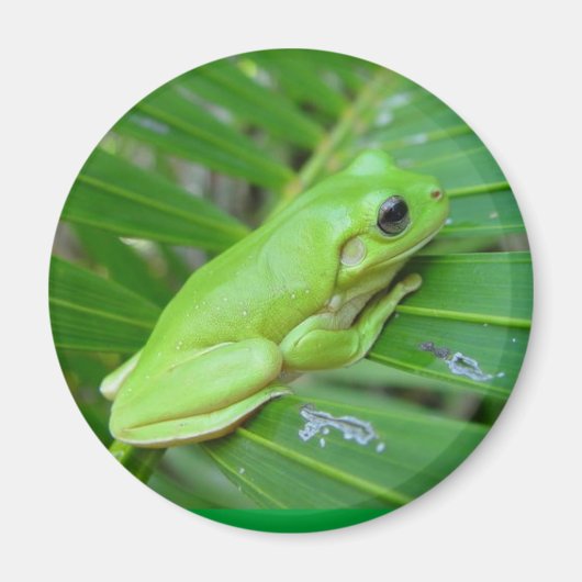 グリーンだ マグネット (正面)