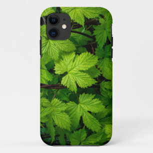 グリーンつる植物自然美しい iPhone 11 ケース