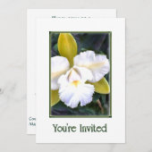 グリーンとホワイトのカトレアオーキッドの招待状 招待状 (正面/裏面)