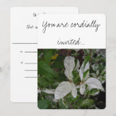 グリーンとホワイトの葉 : ウェディング 招待状 (正面/裏面)