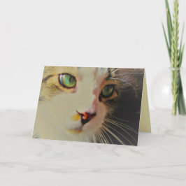 グリーンな目で猫を追い越す カード