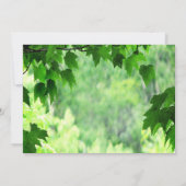 グリーンに囲まれたウェディング ブランシュ 招待状 (裏面)