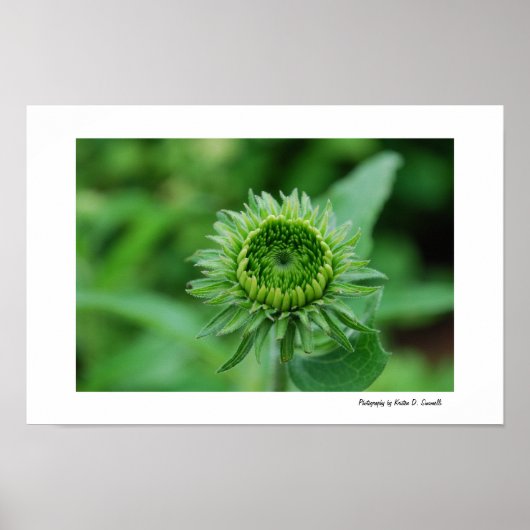 グリーンへ ポスター (正面)