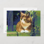 グリーンアイズのポストカード ポストカード (正面/裏面)