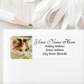 グリーンアイドカリコキッテン差出人住所 ラベル (インサイチュ)