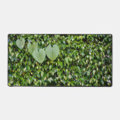グリーンアイビーハート葉形状自然写真 デスクマット (正面)