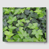 グリーンアイビーボタニカルプリント ゲストブック (裏面)