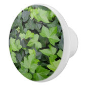 グリーンアイビーボタニカルプリント セラミックノブ (右)