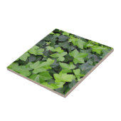 グリーンアイビーボタニカルプリント タイル (側面)