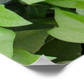 グリーンアイビーボタニカルプリント ポスター (角)