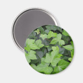 グリーンアイビーボタニカルプリント マグネット (正面/裏面)