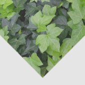 グリーンアイビーボタニカルプリント 薄葉紙 (詳細)