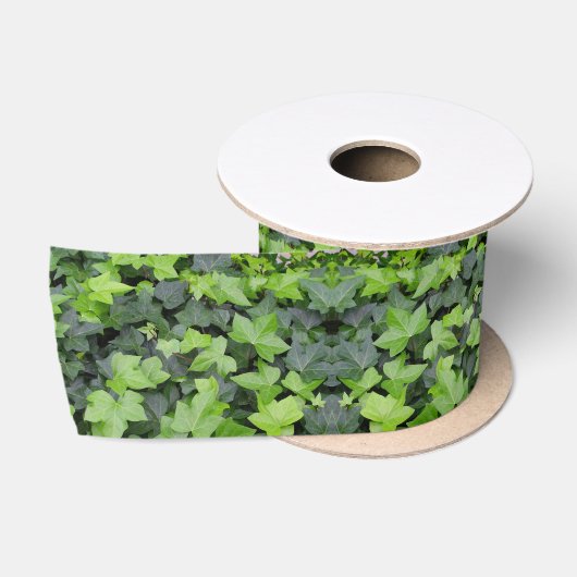 グリーンアイビー植物画 サテンリボン (リール)