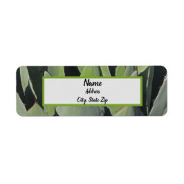 グリーンアガ葉ブ植物写真南西 ラベル