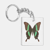 グリーンアゲハチョウ蝶 キーホルダー (正面左)