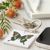 グリーンアゲハチョウ蝶 キーホルダー (正面右)
