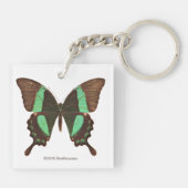 グリーンアゲハチョウ蝶 キーホルダー (裏面)