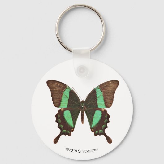 グリーンアゲハチョウ蝶 キーホルダー (正面)