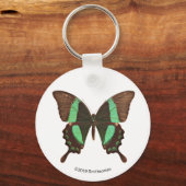グリーンアゲハチョウ蝶 キーホルダー (正面)