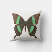 グリーンアゲハチョウ蝶 クッション (裏面)