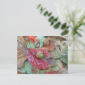 グリーンアコーンon a Red秋 ポストカード (スタンド正面)