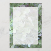 グリーンアジサイ結婚ズのファンプログラム紙 プログラム (裏面)