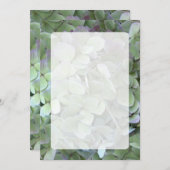 グリーンアジサイ結婚ズのファンプログラム紙 プログラム (正面/裏面)