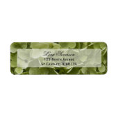 グリーンアジサイ花差出人住所 ラベル (正面)