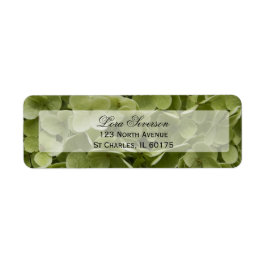 グリーンアジサイ花差出人住所 ラベル