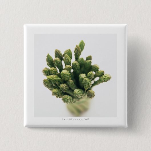 グリーンアスパラガス 缶バッジ (正面)