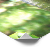 グリーンアナコンダ ポスター (角)