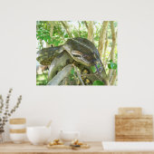 グリーンアナコンダ ポスター (キッチン)