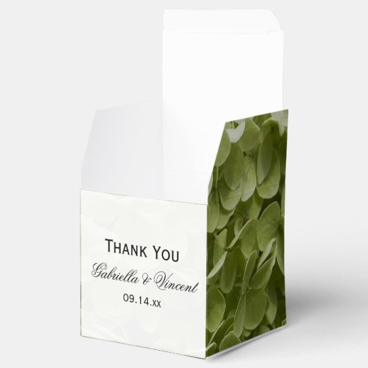 グリーンアナベルアジサイ結婚フローラ フェイバーボックス (オープン)