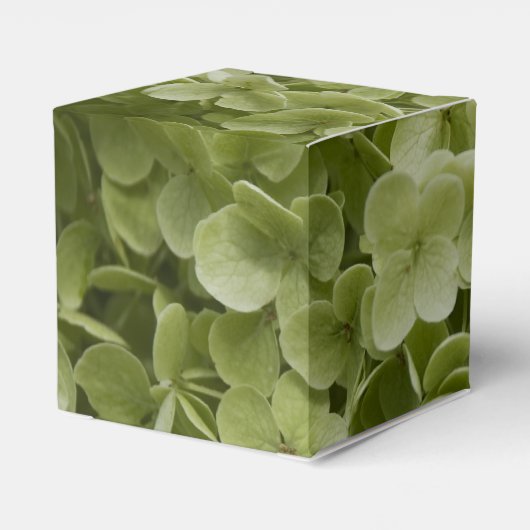 グリーンアナベルアジサイ結婚フローラ フェイバーボックス (裏面サイド)