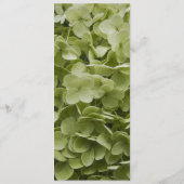 グリーンアナベルアジサイ結婚式 プログラム (裏面)