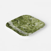 グリーンアナベルアジサイ結婚花 ペーパープレート (傾斜あり)