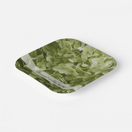 グリーンアナベルアジサイ結婚花 ペーパープレート (傾斜あり)