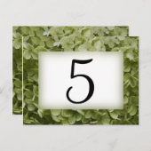 グリーンアナベルアジサイ花テーブル番号 ポストカード (正面/裏面)