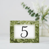 グリーンアナベルアジサイ花テーブル番号 ポストカード (スタンド正面)