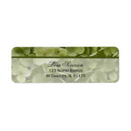 グリーンアナベルアジサイ花差出人住所 ラベル