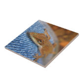 グリーンアノールリザード タイル (側面)