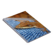 グリーンアノールリザード ノートブック (右側)