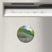 グリーンアノールリザード マグネット (インサイチュ (食洗機))