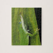 グリーンアノール、Anolis carolinensis、ヤシの木の上の成体 ジグソーパズル (縦)