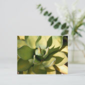 「グリーンアリゾナ」 ポストカード (スタンド正面)