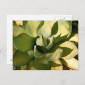 「グリーンアリゾナ」 ポストカード (正面/裏面)